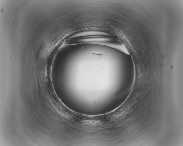 X0000086960251200704161526