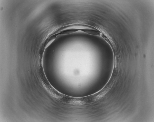 X0000086960253200704161526