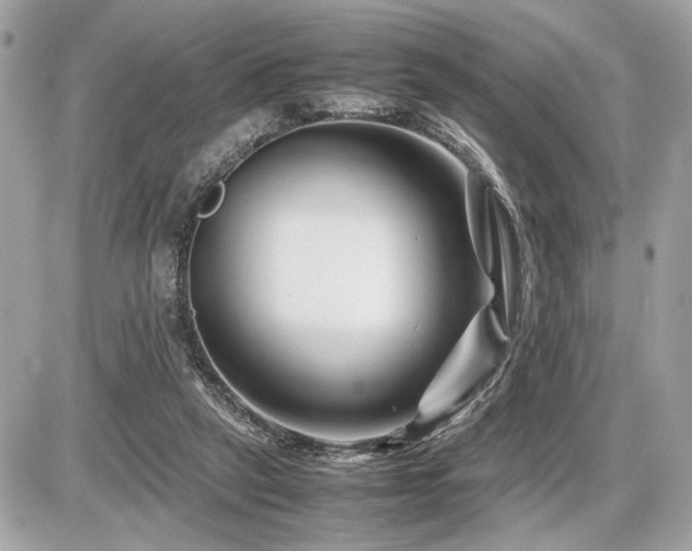 X0000086960257200704161526