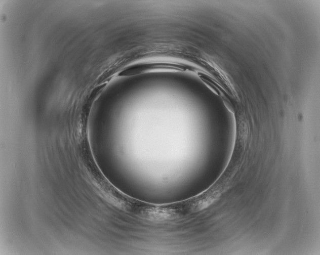 X0000086960261200704161526