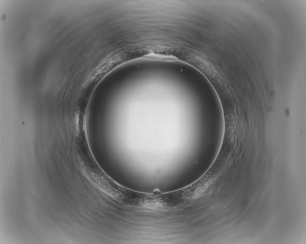 X0000086960262200704161526
