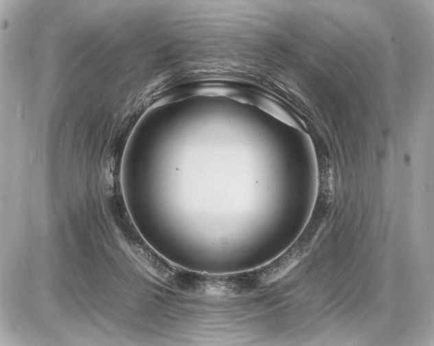 X0000086960264200704161526