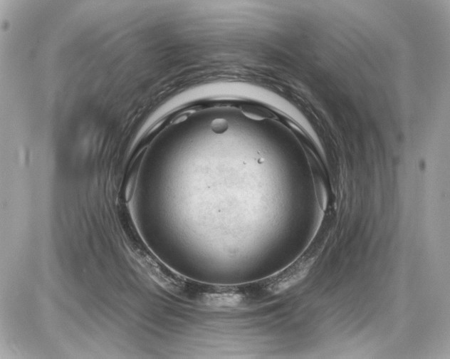 X0000086960266200704161526