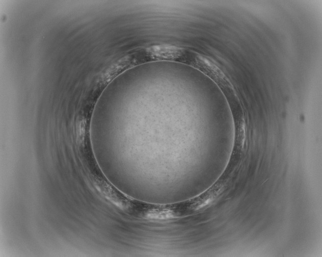 X0000086960271200704161526