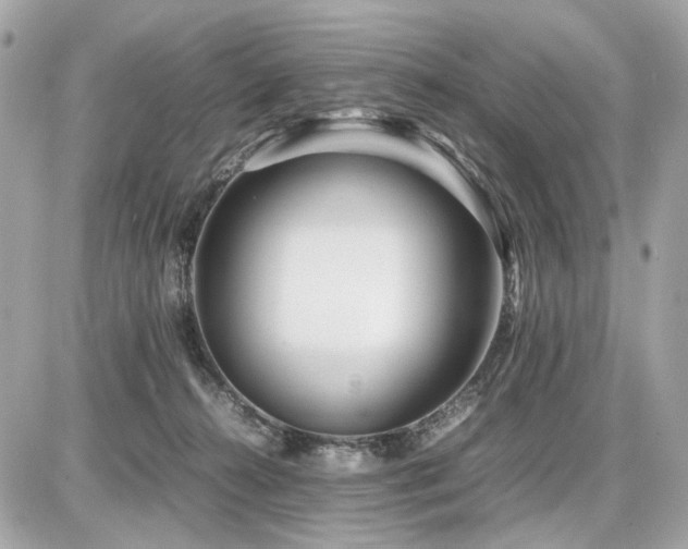 X0000086960272200704161526