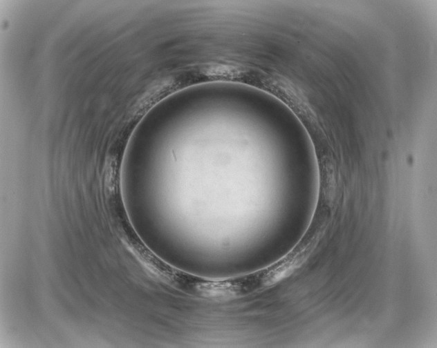 X0000086960273200704161526