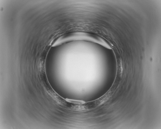 X0000086960276200704161526