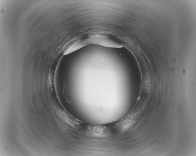 X0000086960282200704161526