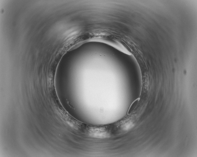 X0000086960283200704161526