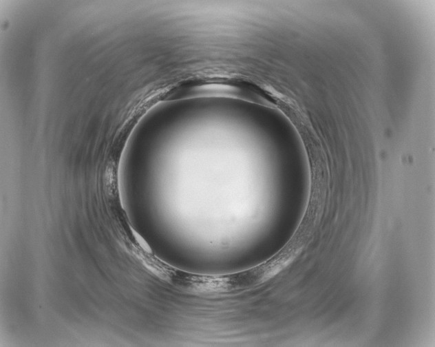 X0000086960288200704161526