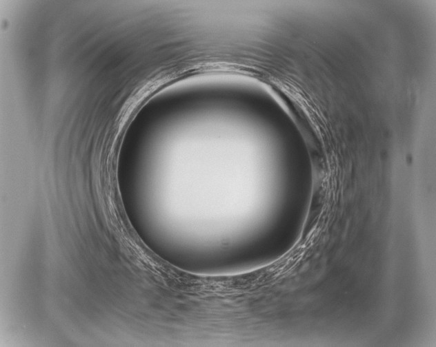 X0000086960289200704161525