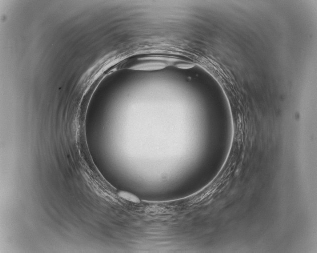 X0000086960290200704161525
