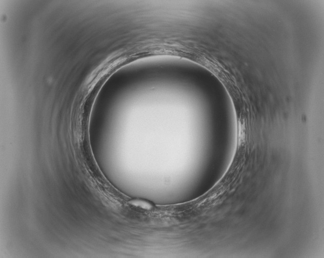 X0000086960291200704161525