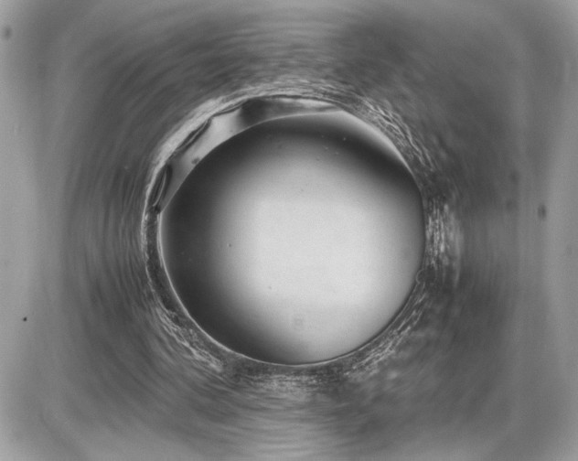 X0000086960292200704161525