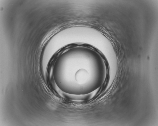 X0000086960293200704161525