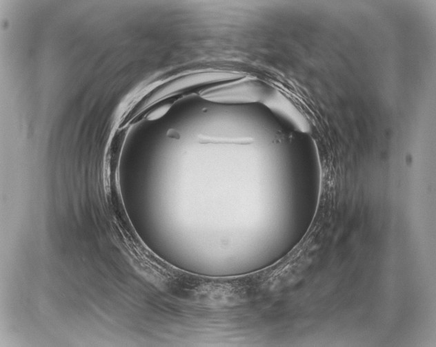 X0000086960294200704161525