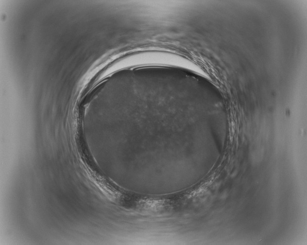 X0000086960295200704161525