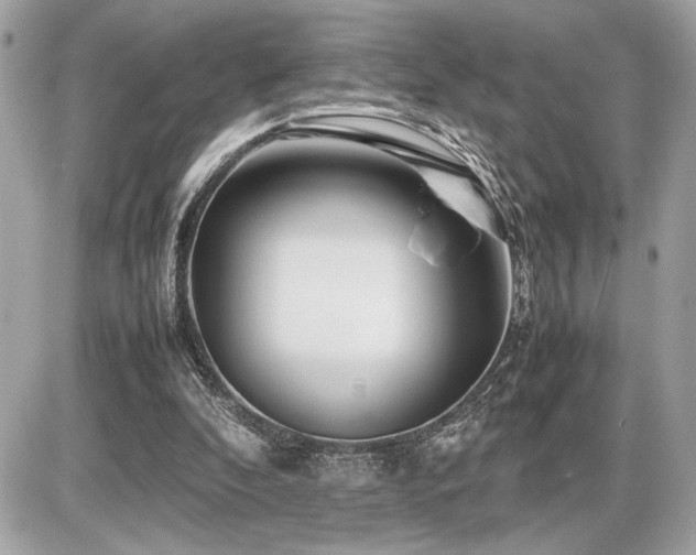 X0000086960296200704161525
