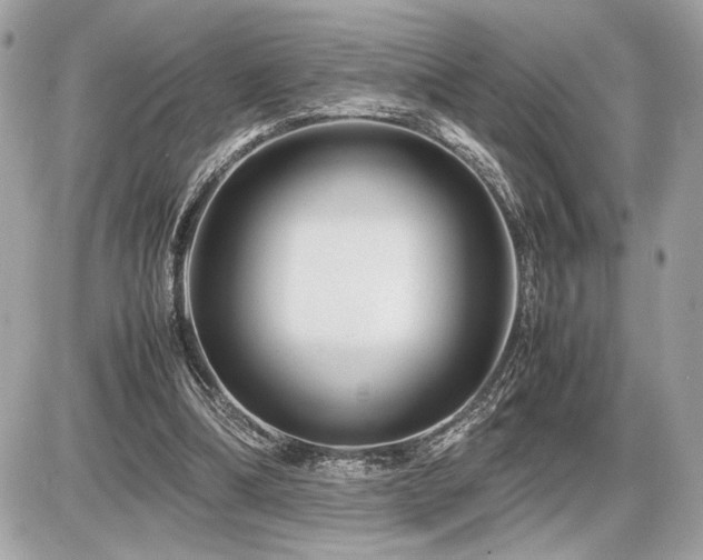 X0000086960298200704161525