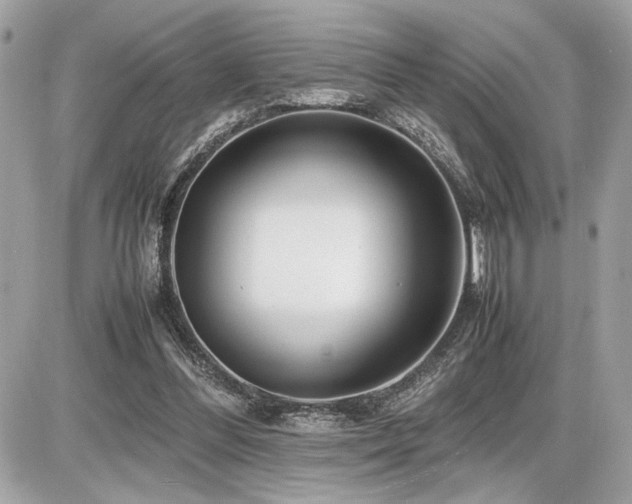 X0000086960300200704161525
