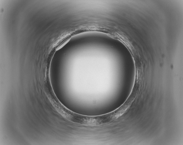 X0000086960301200704161525