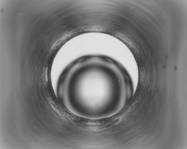 X0000086960302200704161525