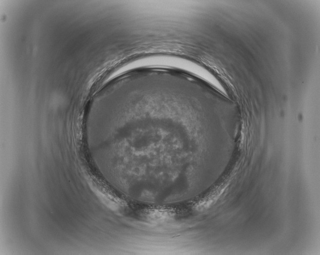 X0000086960303200704161525