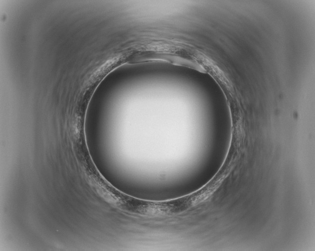 X0000086960305200704161525