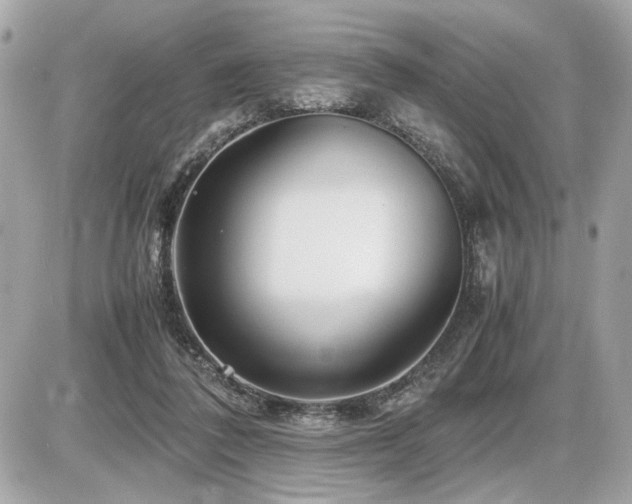 X0000086960308200704161525