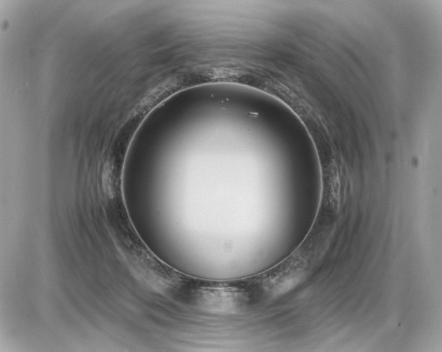 X0000086960316200704161525