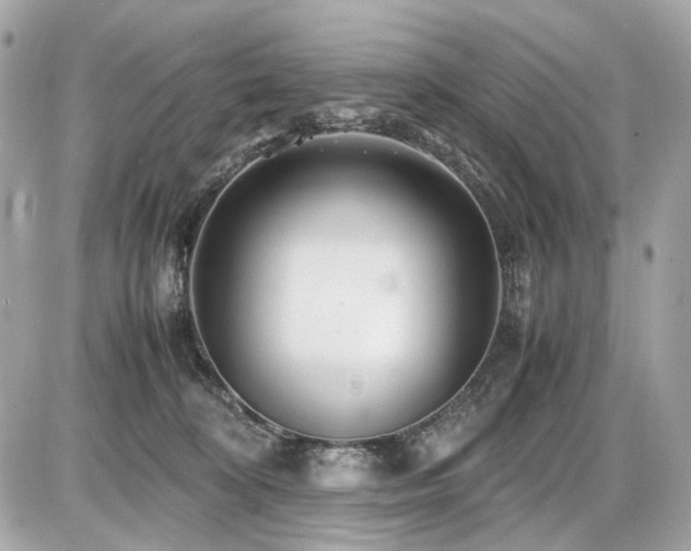 X0000086960324200704161525