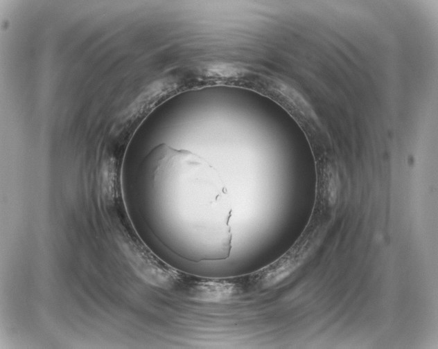 X0000086960328200704161525