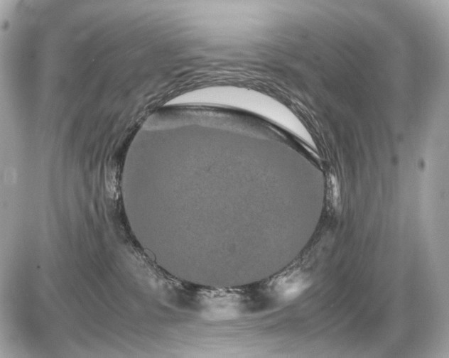 X0000086960331200704161525