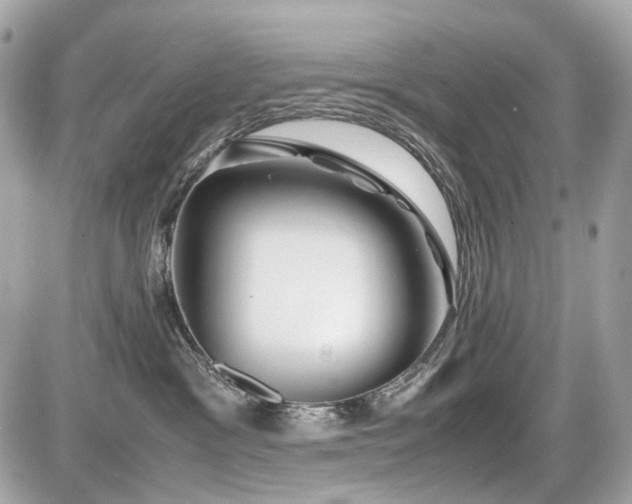 X0000086960333200704161525