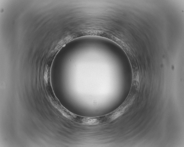 X0000086960334200704161525