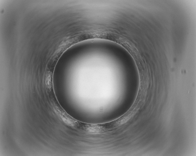 X0000086960336200704161525