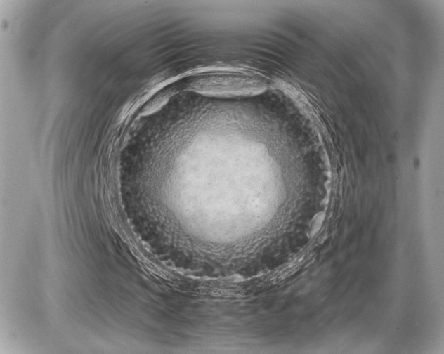 X0000086960337200704161524