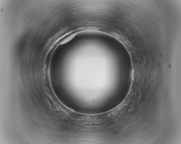 X0000086960338200704161524