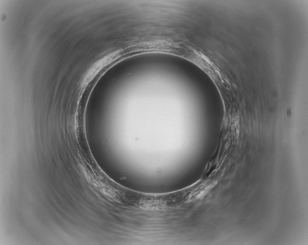 X0000086960340200704161524