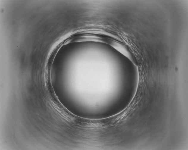 X0000086960342200704161524