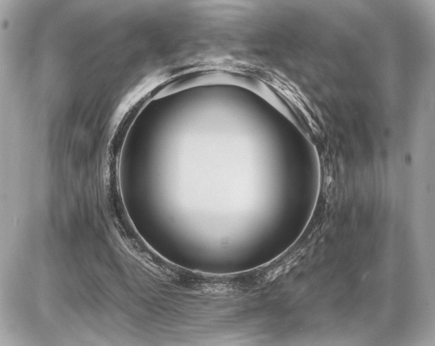 X0000086960344200704161524