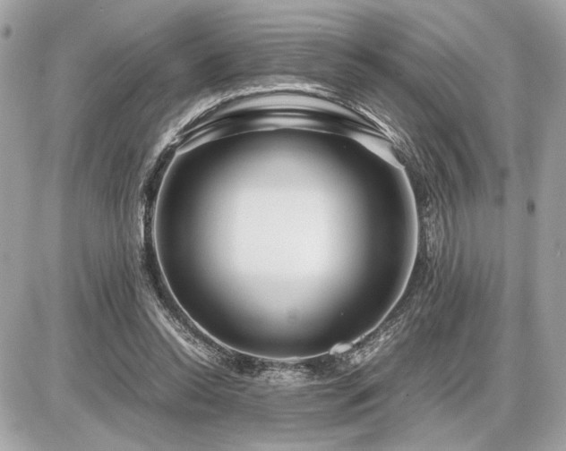 X0000086960350200704161524