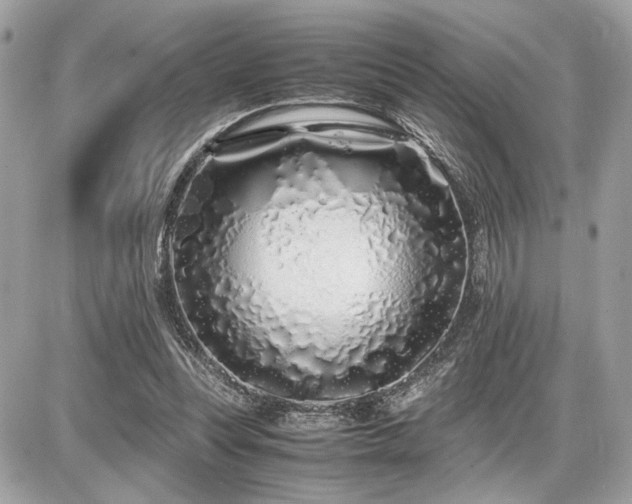 X0000086960351200704161524
