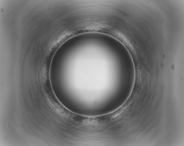 X0000086960354200704161524