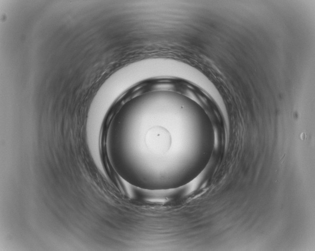 X0000086960368200704161524
