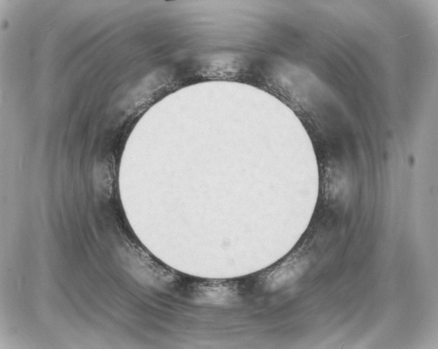 X0000086960370200704161524