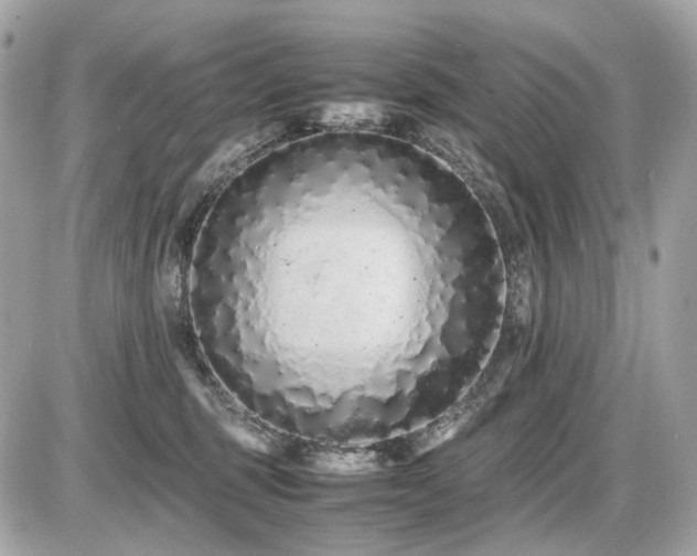 X0000086960375200704161524