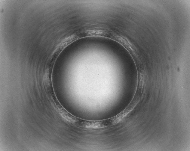 X0000086960377200704161524