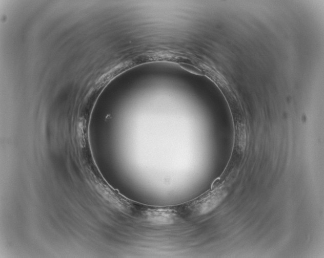 X0000086960378200704161525