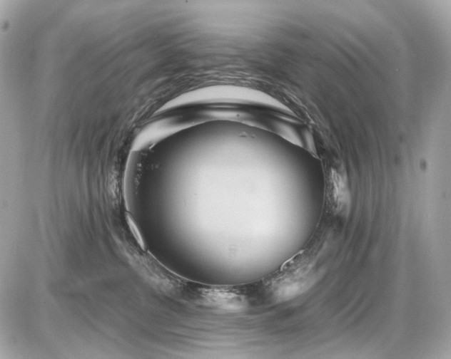X0000086960380200704161525